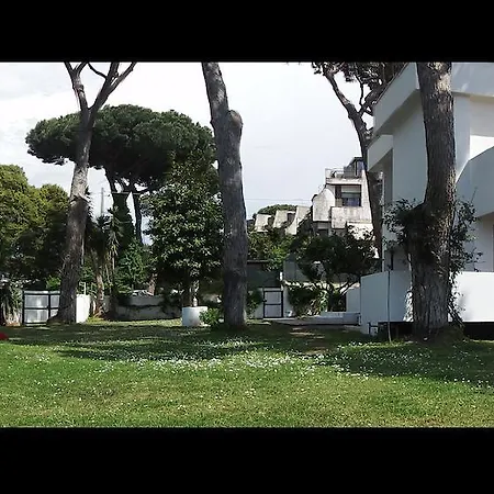 La Mosca Bianca