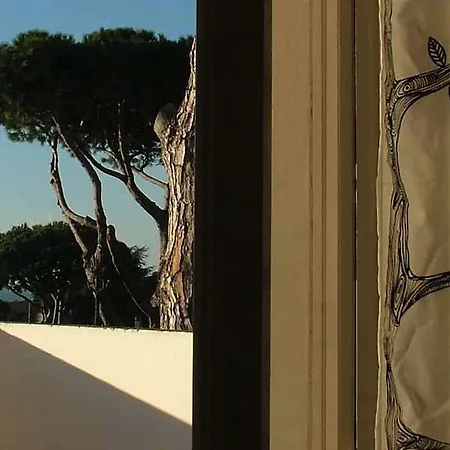 Hébergement de vacances La Mosca Bianca